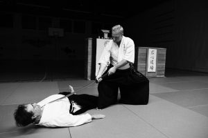 Shindo Yoshin Ryu Kampfkunst