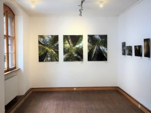 Fotoausstellung des Kunstvereins Freisinger Mohr
