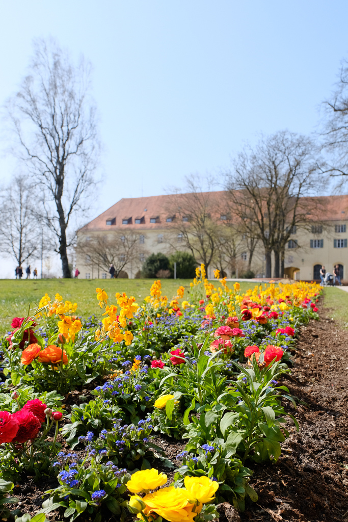 Hofgarten Freising Manchmal passt einfach alles Servus Freising
