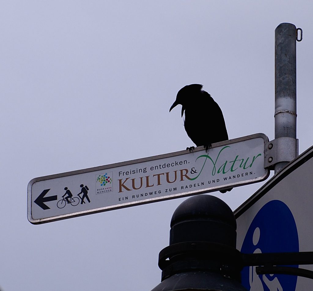 Kultur & Natur Rundweg Freising