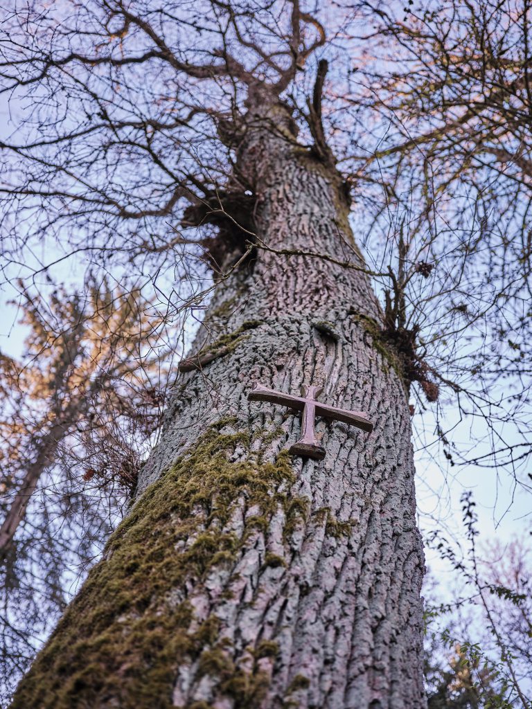 Das Heilige Kreuz im Wippenhauser Forst
